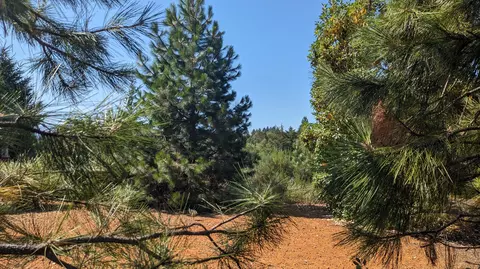 352 Cedar Ridge Dr, Cave Junction, OR 97523