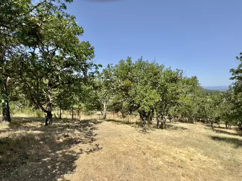 4532 E Antelope Rd, Eagle Point, OR 97524 photo 65