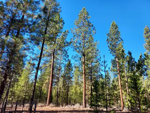 51608 Pine Loop Dr, La Pine, OR 97739 photo 5