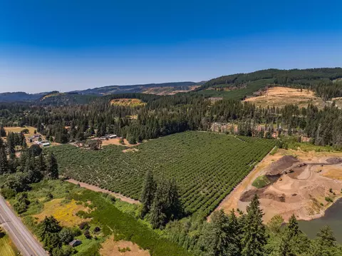46759 E Lyons Mill City Dr, Lyons, OR 97358 photo 5