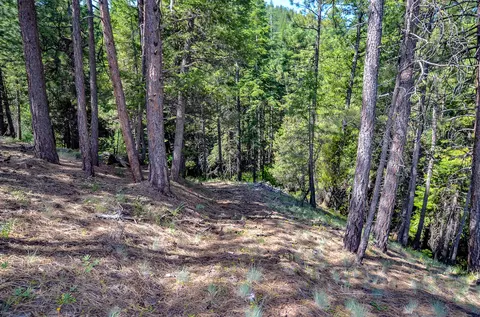 Other - 62305 Haggard Loop, John Day, OR 97845 photo 16 of 24