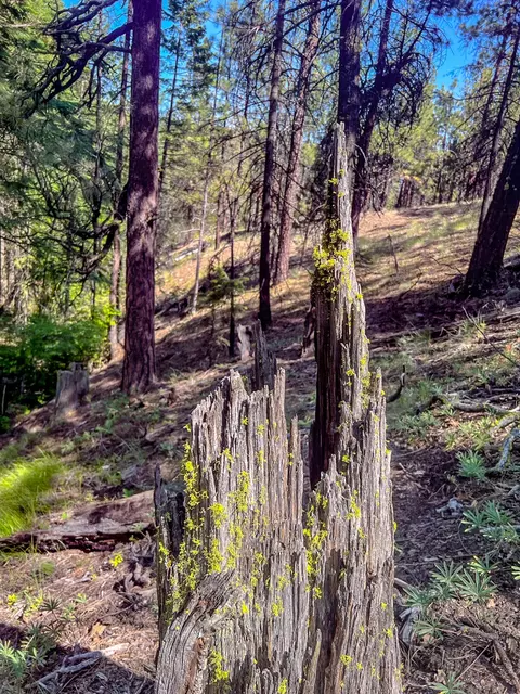 Other - 62305 Haggard Loop, John Day, OR 97845 photo 21 of 24