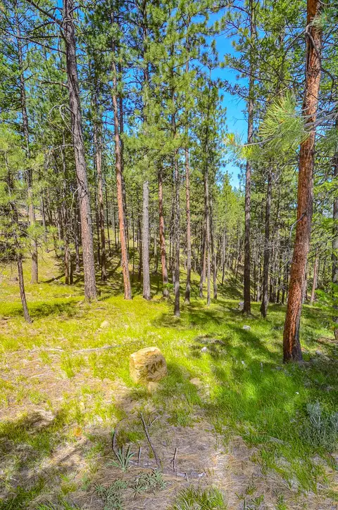 Other - 62305 Haggard Loop, John Day, OR 97845 photo 19 of 24
