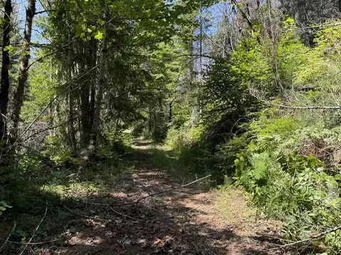 n. santiam hwy se 22, Detroit, OR 97342