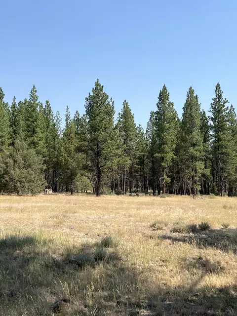 Sprague River Parcels 324688, Sprague River, OR 97639