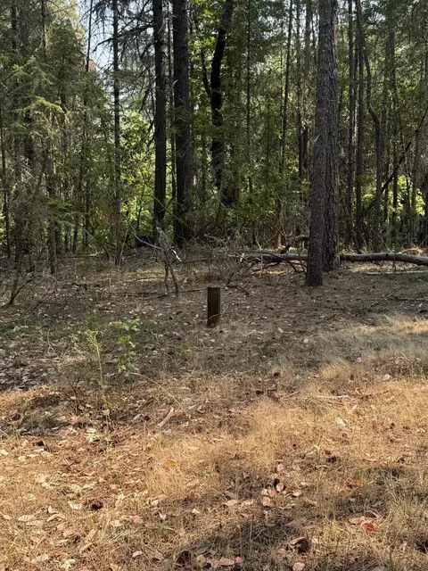 0 Fields Rd, Williams, OR 97544 photo 19