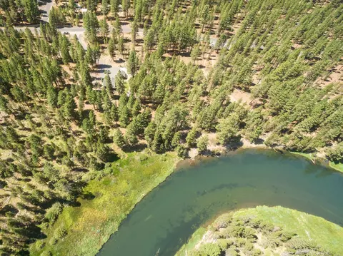View/Area - 55190 Forest Ln, Bend, OR 97707 photo 3 of 11