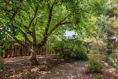 Exterior - 124 Walnut Pl, Phoenix, OR 97535 photo 19 of 26