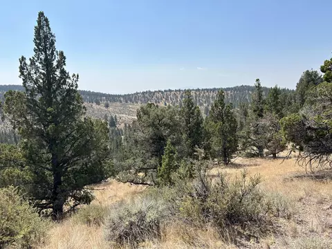 Tl 1900 Simpson Road, Prineville, OR 97754