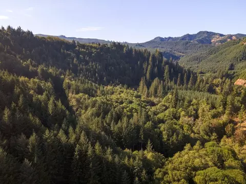 Fairview Road, Coquille, OR 97423