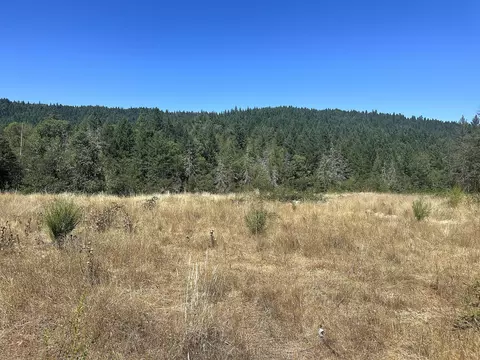 12124 Redwood Hwy, Wilderville, OR 97543