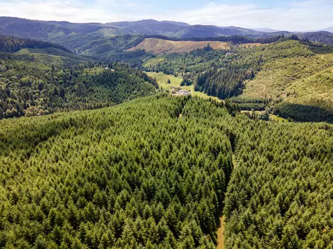 N Bear Creek Road, Drain, OR 97435