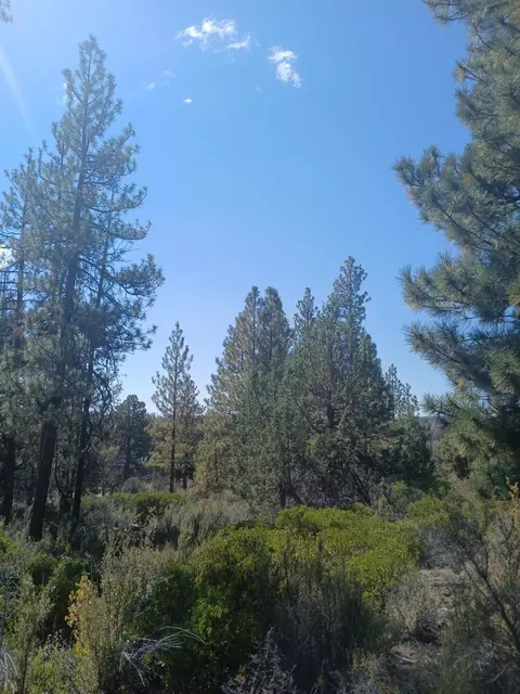 Nka Glendale Lane, Sprague River, OR 97639