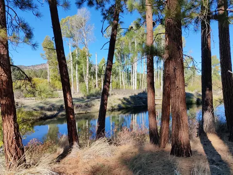 hwy 140 e LOT 100, Beatty, OR 97621