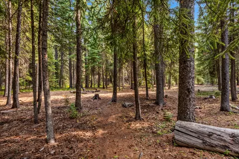 61580 River Rd, Bend, OR 97703 photo 27