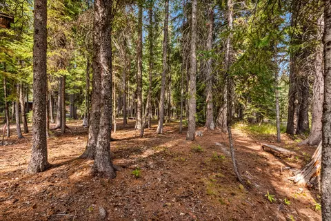 61580 River Rd, Bend, OR 97703 photo 30