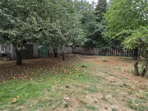 122 Boundary Ave, Cave Junction, OR 97523 photo 43