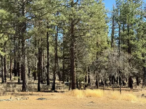 tepee lane, Chiloquin, OR 97624 photo 25