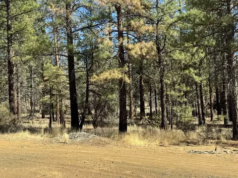 tepee lane, Chiloquin, OR 97624 photo 24