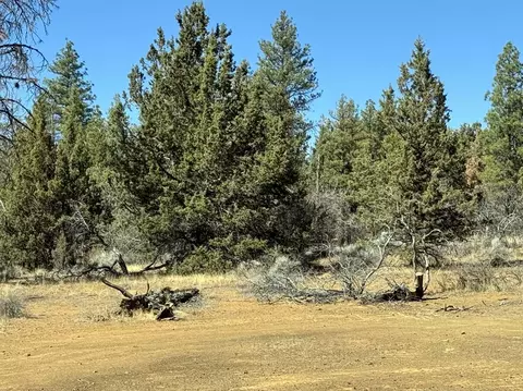 tepee lane, Chiloquin, OR 97624 photo 13