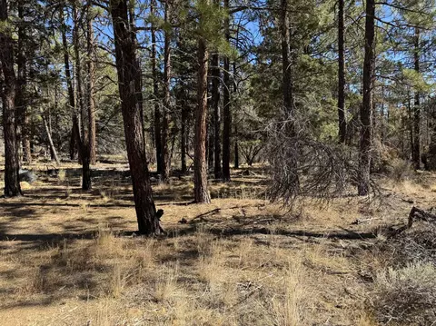 tepee lane, Chiloquin, OR 97624 photo 8