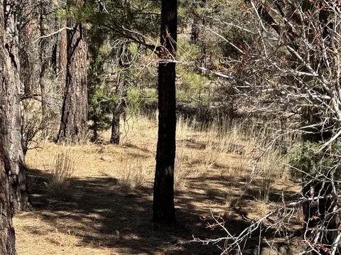 tepee lane, Chiloquin, OR 97624 photo 15