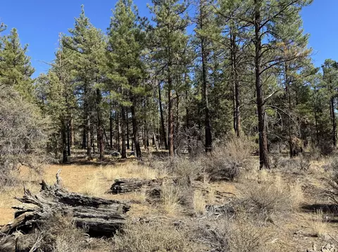 tepee lane, Chiloquin, OR 97624 photo 3