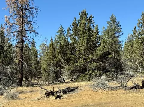 tepee lane, Chiloquin, OR 97624 photo 19