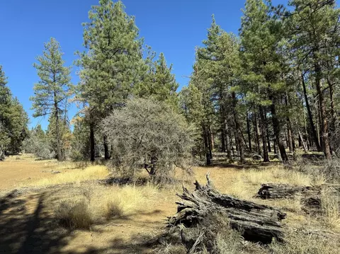 tepee lane, Chiloquin, OR 97624 photo 4