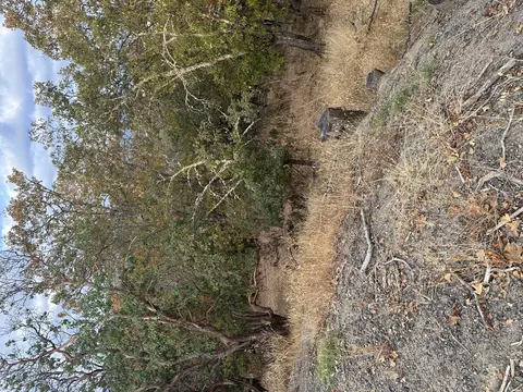 nw woodson drive, Grants Pass, OR 97526