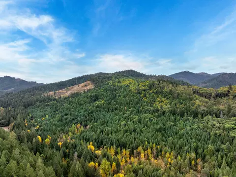 486 Dog Creek Rd, Wolf Creek, OR 97497
