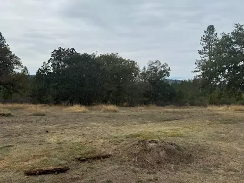 1580 Laurel Rd, Cave Junction, OR 97523 photo 23