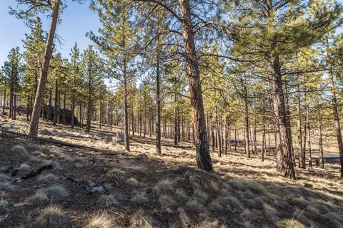 Ostrom Drive, Bend, OR 97703 photo 7