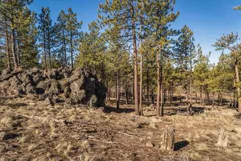 Ostrom Drive, Bend, OR 97703 photo 5