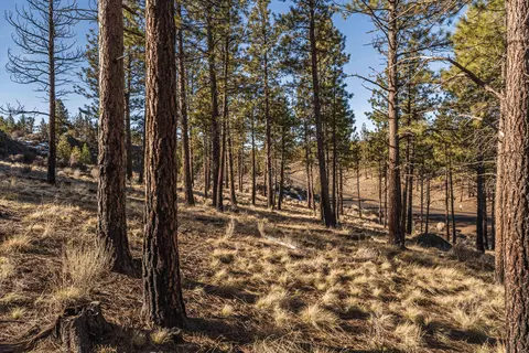 Ostrom Drive, Bend, OR 97703 photo 2