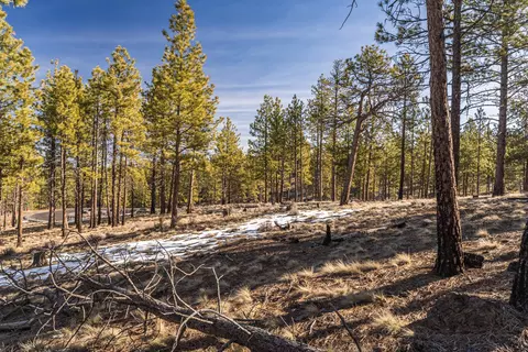 Ostrom Drive, Bend, OR 97703 photo 13
