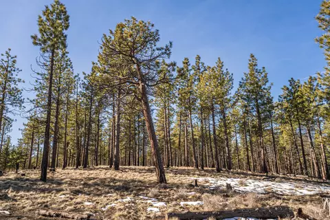 Ostrom Drive, Bend, OR 97703 photo 18
