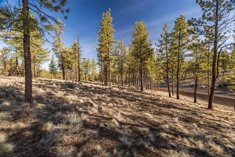 Ostrom Drive, Bend, OR 97703 photo 14