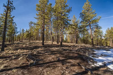 Ostrom Drive, Bend, OR 97703 photo 17