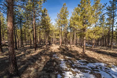 Ostrom Drive, Bend, OR 97703 photo 12
