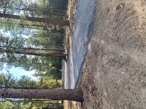 51616 Pine Loop Dr, La Pine, OR 97739 photo 2