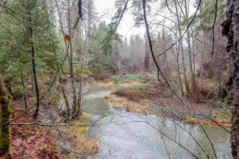 pleasant creek road, Rogue River, OR 97537