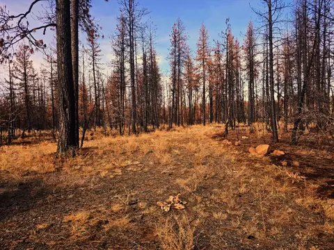4 Zebra Ln #4, Bonanza, OR 97623