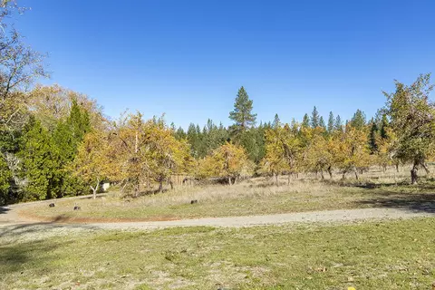 Exterior - 1263 Waldo Rd, O'brien, OR 97534 photo 3 of 26