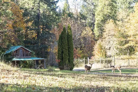 Exterior - 1263 Waldo Rd, O'brien, OR 97534 photo 20 of 26