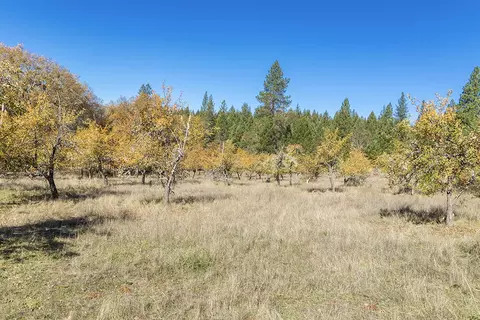 Other - 1263 Waldo Rd, O'brien, OR 97534 photo 13 of 18