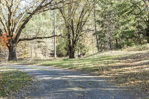 Other - 1263 Waldo Rd, O'brien, OR 97534 photo 18 of 18