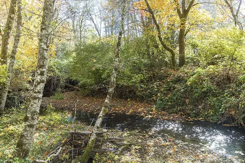 View/Area - 1263 Waldo Rd, O'brien, OR 97534 photo 8 of 9