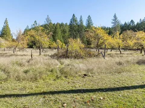 Exterior - 1263 Waldo Rd, O'brien, OR 97534 photo 23 of 26
