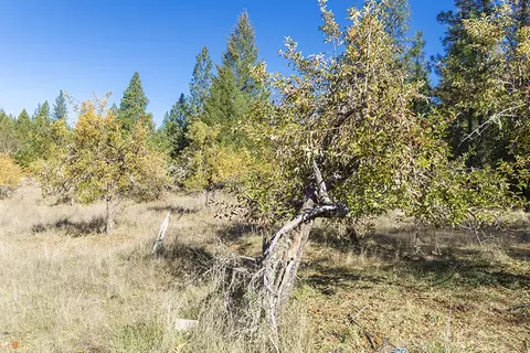 Other - 1263 Waldo Rd, O'brien, OR 97534 photo 12 of 18